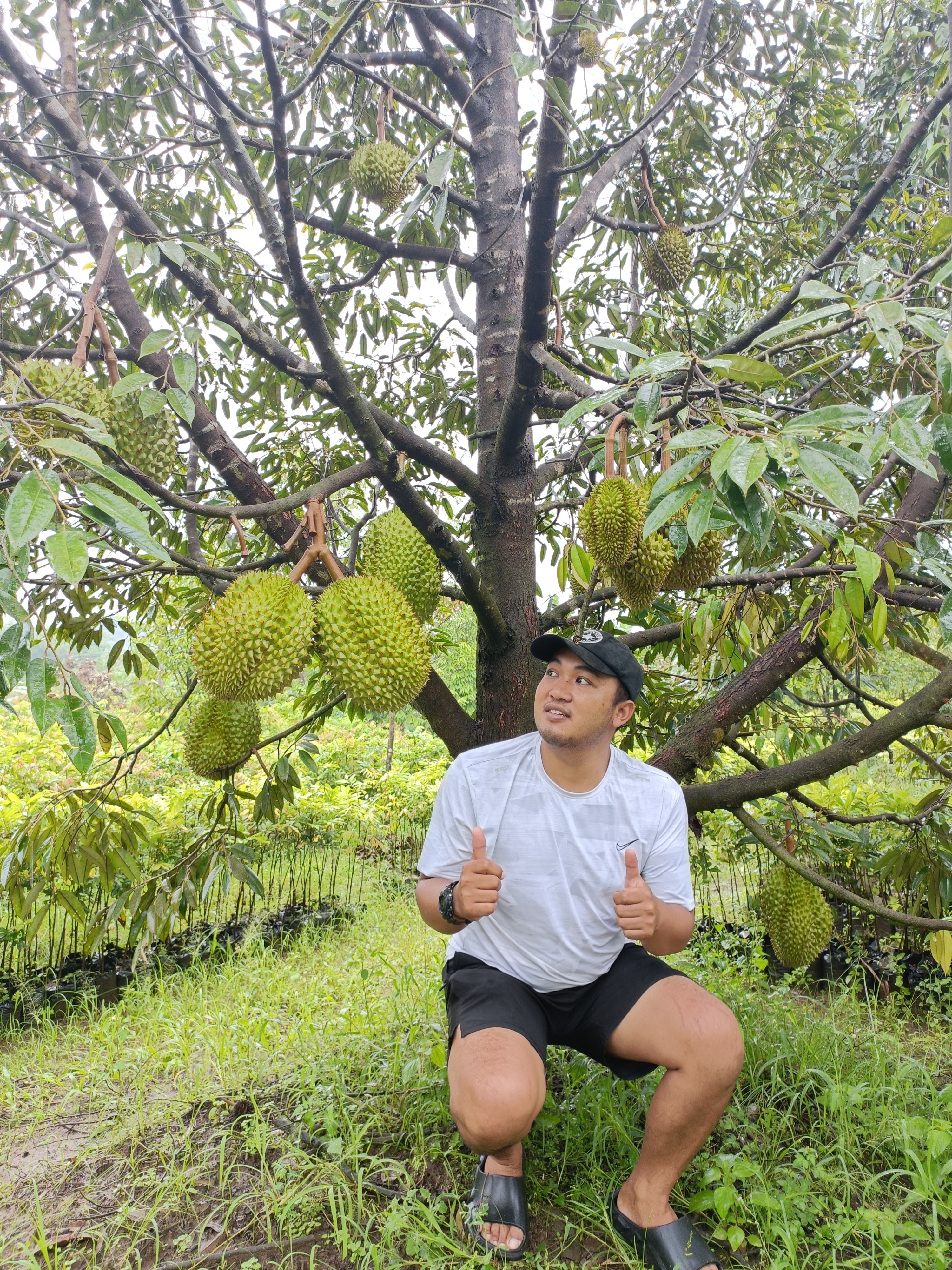Kebun Salaman